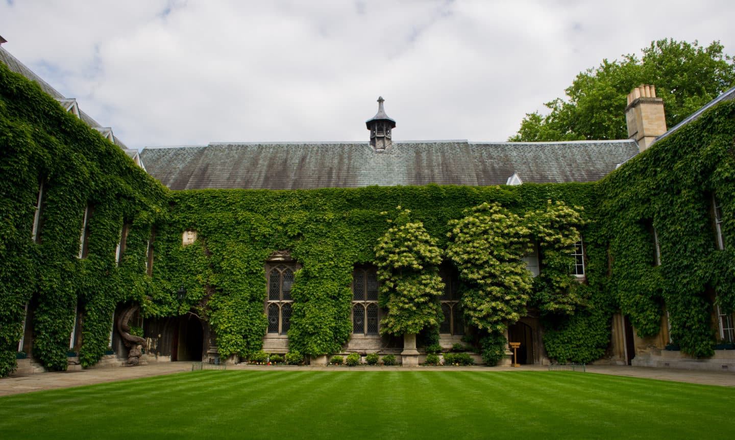 Front Quad in the summer