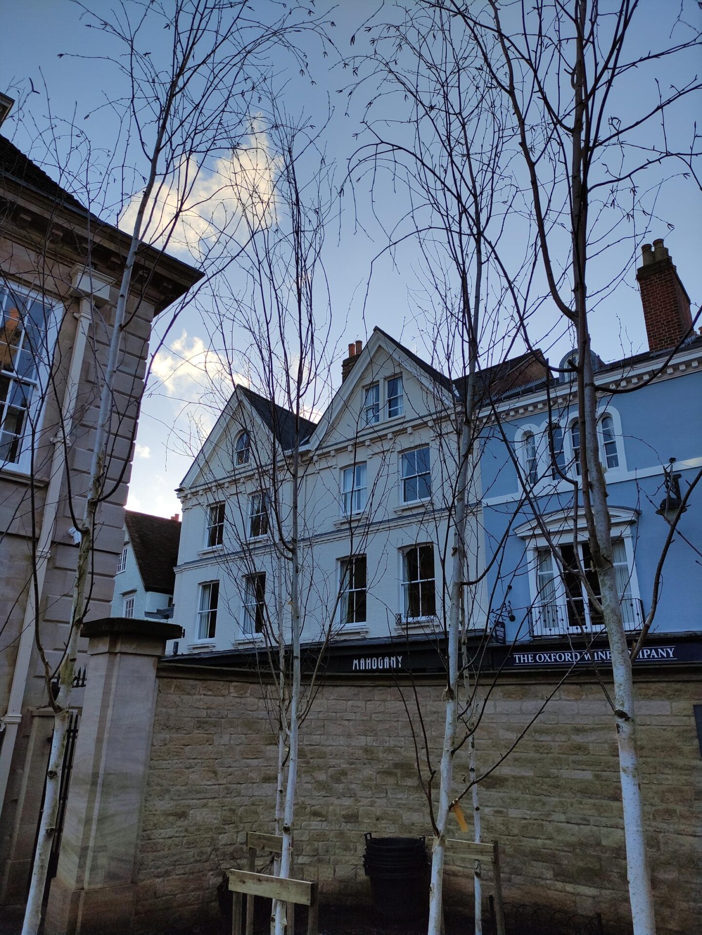 Row of pale-painted townhouses behind a low stone wall, with leafless young trees (Betula utilis ‘snow queen’) in the foreground against a blue sky.