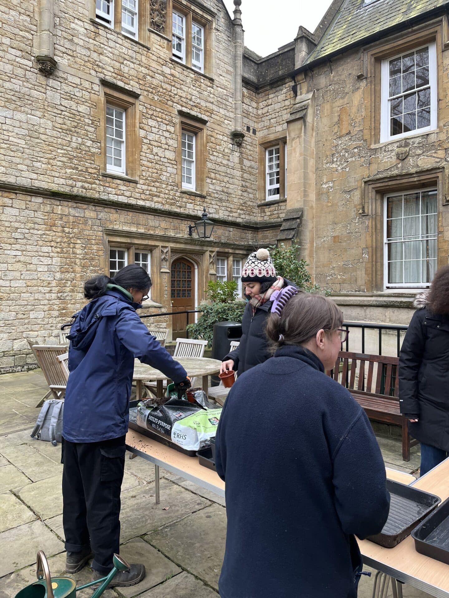 Students and staff sowing seeds in Grove Quad