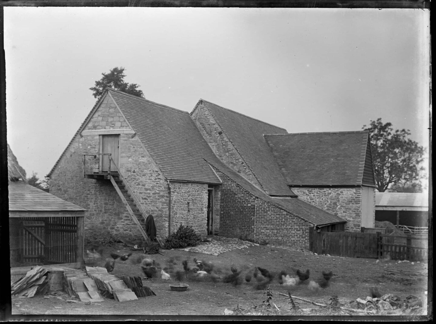 Glass-plated negative of a house and chickens on a College estate