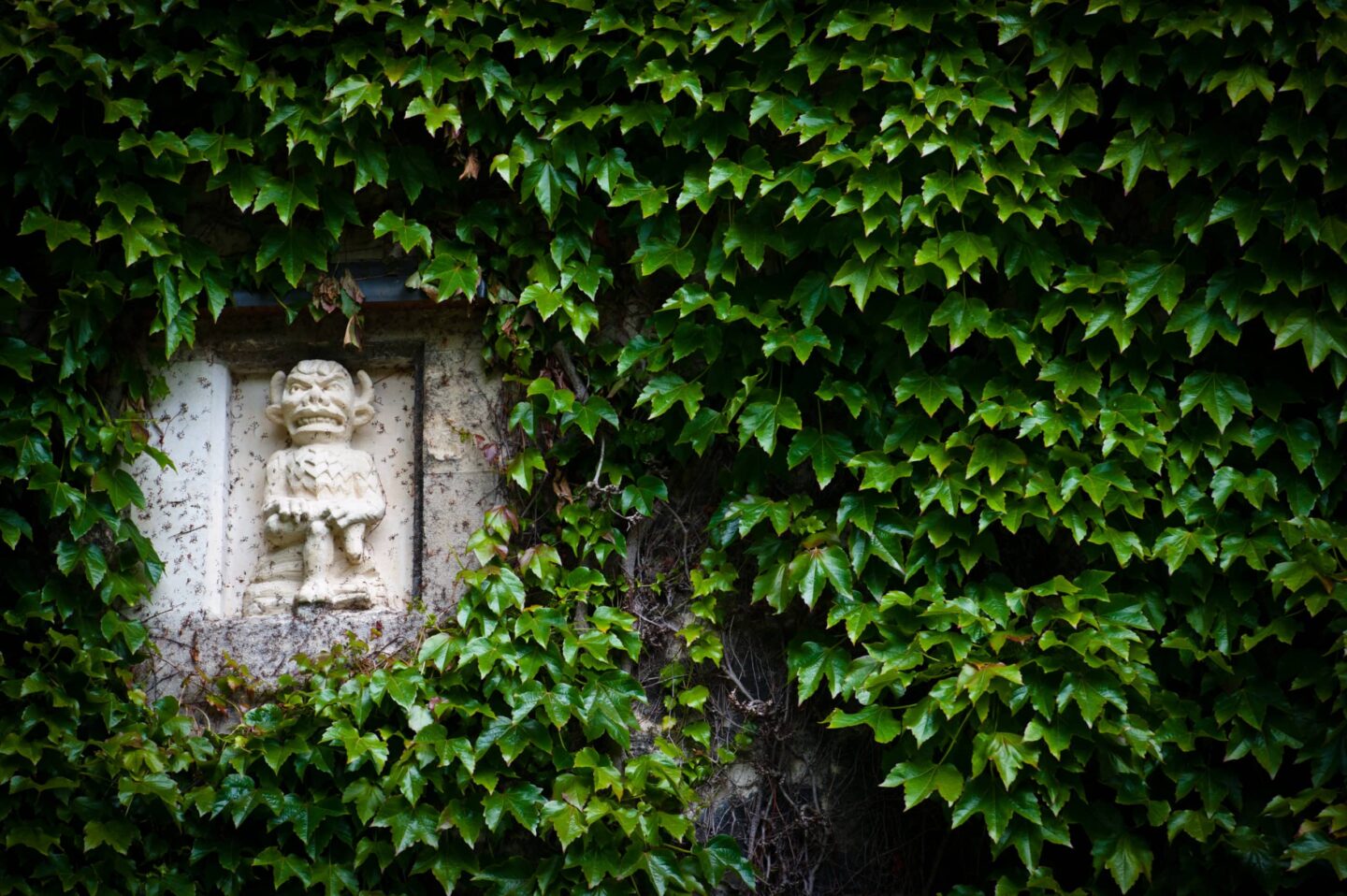 Lincoln College Imp nestled among the ivy in Front Quad