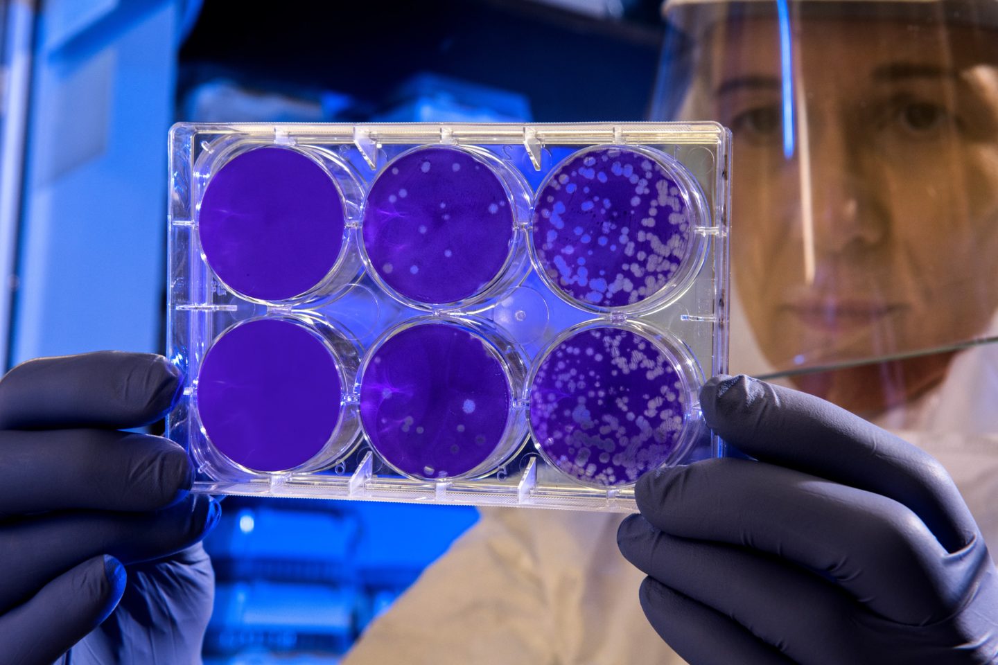 Scientist in mask and gloves holding up a set of samples